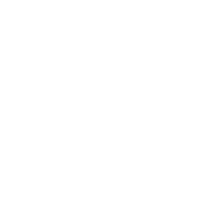 control 4 logo